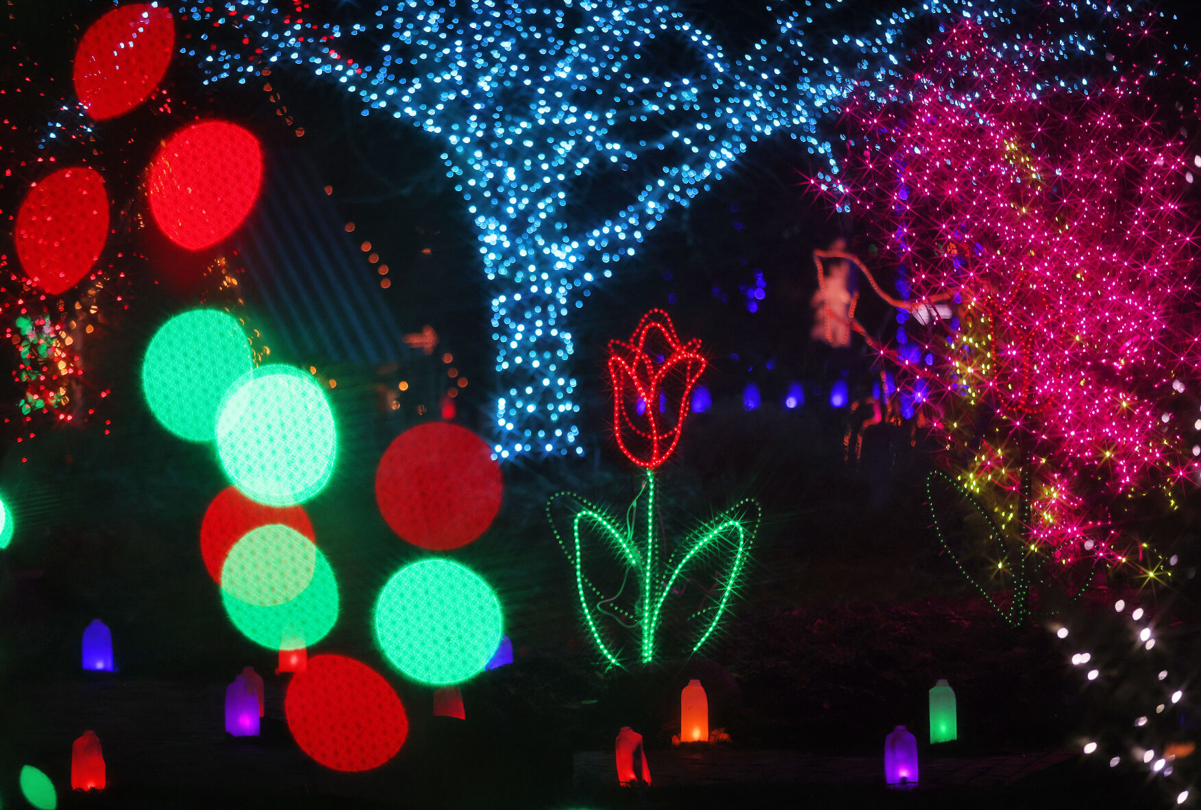 SOWI_231124_JVG_LIGHTS06.JPG